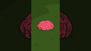 Nigel and Marmalade find a brain growing in their garden #animation