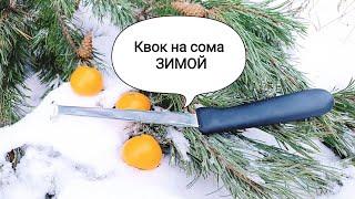 Квок на сома зимой ??? #ловлясома #квок #рыбалканасома