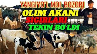 YANGIYOʻL MOL BOZORIDA ONA -BOLA SIGIRLAR NARXLARI 