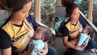 Raising Pigs Alone in a Remote Area | Farms Life in Vietnam - Breastfeeding