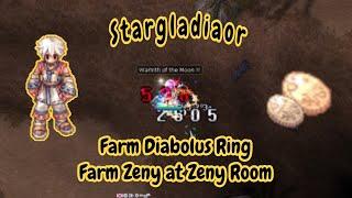 Taekwon Master/Stargladiator Build to Farm Diabolus Ring & Farm Zeny At Anita Room !! Free RO