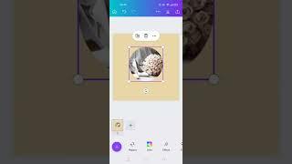 How to Crop an Image into Shapes (Canva Mobile) NEW UPDATE August 2022