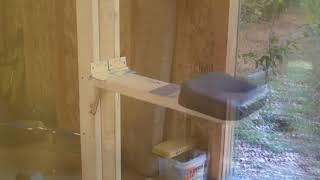 GYMSMITHY- I CREATE A BULLDOG PAD