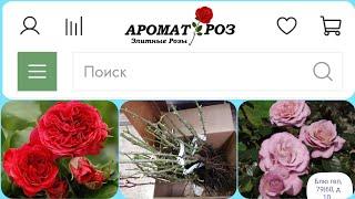 ГЛАЗ НЕ ОТВЕСТИОбзор посылки  с розами из питомника "Аромат роз ". #розы #уральскиерозы