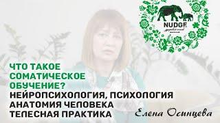 Что такое соматическое обучение? Нейропсихология, психология, анатомия человека, телесная практика