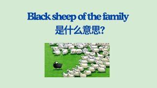 实用英文成语学习 -- The Black Sheep of the Family