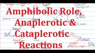 12. Amphibolic role, Anaplerotic & Cataplerotic reactions of TCA cycle | Extremely simplified