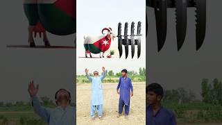bakra lary bado badi🫶🫶||#bakramandi #bakraeid2025  #badobadi