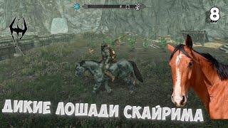 The Elder Scrolls V: Skyrim Anniversary Edition | #8 • Дикие лошади Скайрима