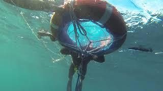 Deep spearfishing variable weight - 56.6m  Port Elizabeth South Africa Part 1 - The dive.