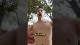 What Happens If You Fall Into a Piranha Pool?