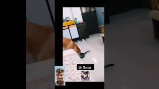 Bander_Aa_Gye_Bander__Lk_Gurjar_#shorts_#dog__#monkey(1080p60)#trending #youtubeshorts #viral #yt