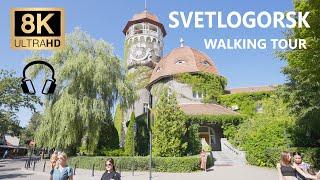 Svetlogorsk Walking Tour ~ 8K 60fpsCity Walk With Real Ambient Sounds