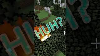 Fire Spread on a 90,000 TICK RATE WORLD [Minecraft]