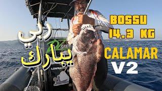 بوصي بوحدبة 14,3 كغ عطالنا كومبا ماشي نورمالDZlures