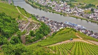 German Riesling Wine Journey