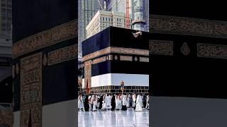 Takbeer Allahu Akbar!  #hajjmubarak2025​#eidTakbeer #MadinahSharif​​#naat#allah#makkahsharif