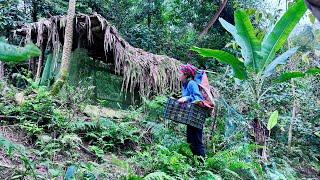 girl and abandoned house in deep forest