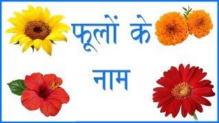 फूलों के नाम हिंदी और अंग्रेजी में जाने | Flower Names in Hindi | Flower Pictures | Flowers Names