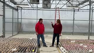 Garden Crossings Grower Talks Grow Lights