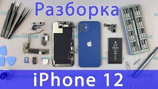 Разборка iPhone 12