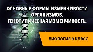 Основные формы изменчивости организмов. Генотипическая изменчивость
