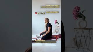 Онлайн курс КРАСИВЫЕ ПОЗЫ в описании профиля #женскоездоровье #отношения #декрет #тазовоедно