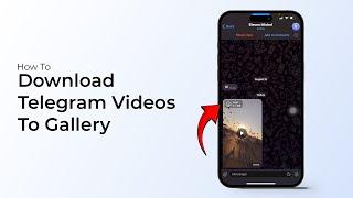 How To Download Telegram Videos To Gallery?