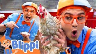 What Farm Animals Will Blippi Find at Adventure City?  - Blippi | Educational Videos for Kids