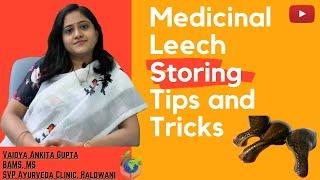 Medicinal Leeches storing Tips and Tricks| Leech Therapy| Jaunk Palan