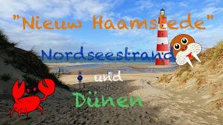 "Nieuw Haamstede" - Dünen- und Strandspaziergang