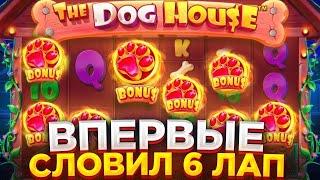 СЛОВИЛ 6 ЛАП В The Dog House Megaways !!! / ЗАНОСЫ НЕДЕЛИ ПРИВЕТ!!! / БОНУСКА 2000x ПО СТАВКЕ ????