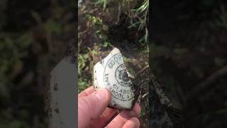 new tip found metal detecting Scotland first shovel shows potential coopers cream pot