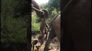 a mother's love!! Even though he was dead, he was still in his arms