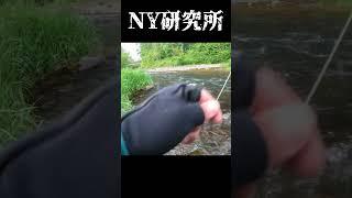 北海道のWetfly Fishingが楽しい