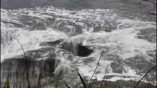 Blowhole in action at Muriwai Beach