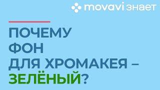 Почему хромакей зеленый? | MOVAVI ЗНАЕТ