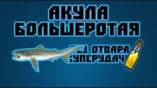 Русская Рыбалка 3. Акула Большеротая. Без отвара суперудачи.