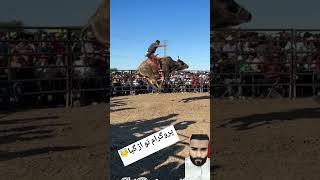 World 1 Dangerous Cow Game