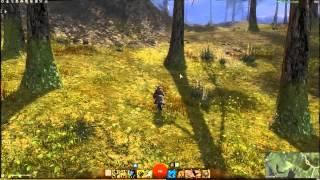 GW2 Ranger Pet Locations - Snow Leopard