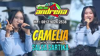 Camelia   Salsa Sartika  New Andrena ( 0812 9026 2583 )  Live   Wedd Desi & Fahri