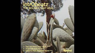 Intr0beatz - The Sounds That Heal [Aterral]