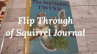 Squirrel Nature Fallish Junk Journal Flip Through #journal #journaling SOLD Thank You