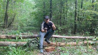 I walk through the forest, I collect mushrooms! Giant mushrooms continue to grow in 2024