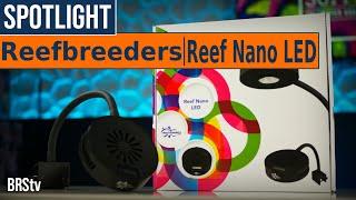 Save $$ Lighting Your Nano Reef Tank or Coral Frag Tank? ReefBreeders Reef Nano LED