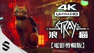 【 STRAY 】All Cutscenes (Game Movie) - Cute Cat's adventure  - HUD OFF - 4K60FPS - By Semenix