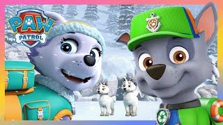 Zuma et la Pat Patrouille sauvent d'adorables chiots coincés dans une grotte de neige!️- PAW Patrol