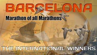 Marathon of All Marathons - International Barcelona Pigeon Race Winners (2011 - 2021)