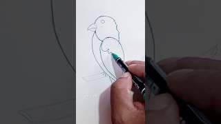 #easydrawing #birds #art #youtubeshorts #howtodraw #drawingtutorial @jatnoratnoarts