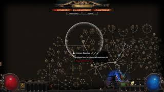 poe Elegant Hubris Timeless Jewel 240%minion damage 160%minion life